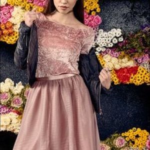 Soft Pink Tulle Skirt